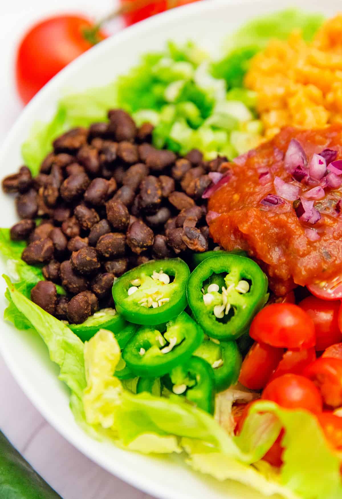 Salsa veggie bowl, veggie bowl, salsa bowl, whole food plant based bowl, recipe, veggie bowl recipe, whole food plant based salad, salsa bowl recipe, vegan, vegan recipe, whole food plant based recipe, whole food plant based, vegetarian, vegetarian recipe, gluten free, gluten free recipe, vegan dinner, vegan lunch, vegan meals, vegetarian dinner, vegetarian lunch, vegetarian meal, whole food plant based dinner, whole food plant based lunch, whole food plant based meal, gluten free dinner, gluten free lunch, gluten free meal, healthy, oil free, no oil, red onions, black beans, lettuce, salad, corn, Mexican rice, Spanish rice, rice, black beans, green onions, tomatoes, jalapeño, quick dinner, avocado, salsa dressing, fast dinner, entertaining, wfpb, dairy free, no dairy, traditional, Mexican, Southwestern, classic, delicious, the best, winter, fall, spring, summer, fast, easy, quick, simple, 30 minutes,