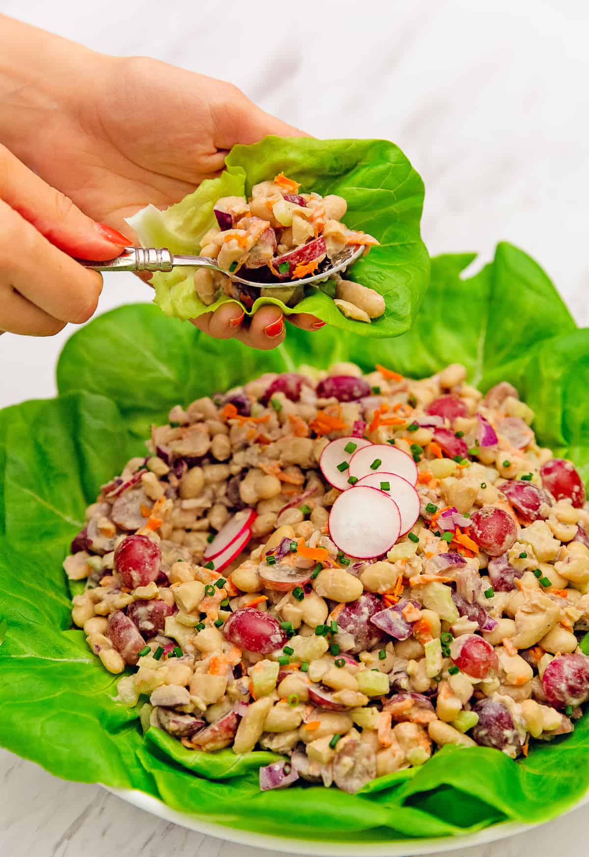 Waldorf salad, salad, white beans, grapes, walnuts, tahini, vegan, vegetarian, whole food plant based, gluten free, recipe, wfpb, healthy, oil free, no refined sugar, no oil, refined sugar free, lunch, dinner, side, sauce, easy, fast, quick, dinner party, entertaining, picnic, fun salad, lettuce cups, lettuce wraps, dinner party, holiday, special, Thanksgiving salad, Christmas salad