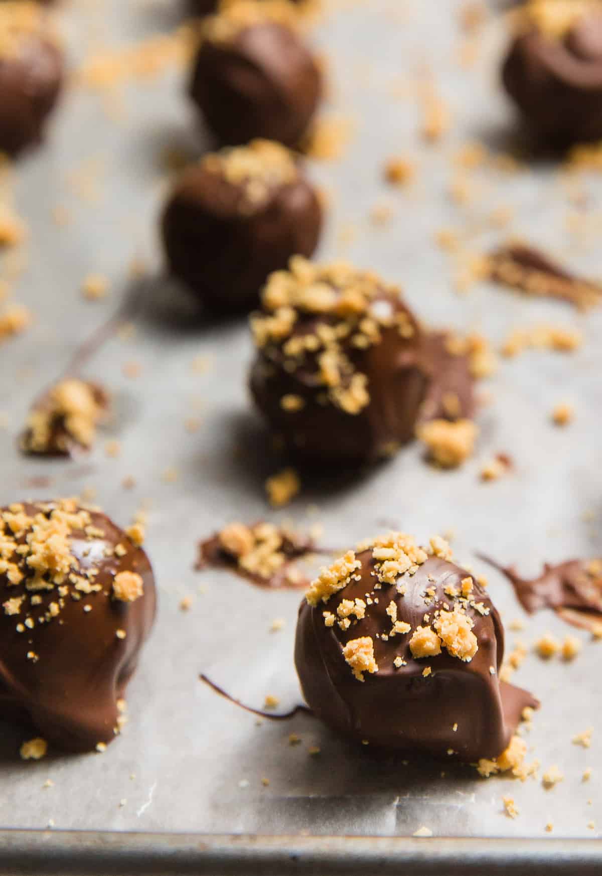 Chocolate Peanut Butter Delights, plant based, vegan, vegetarian, whole food plant based, gluten free, recipe, wfpb, healthy, healthy vegan, oil free, no refined sugar, no oil, refined sugar free, dairy free, dinner party, entertaining, dessert, sweets, treats