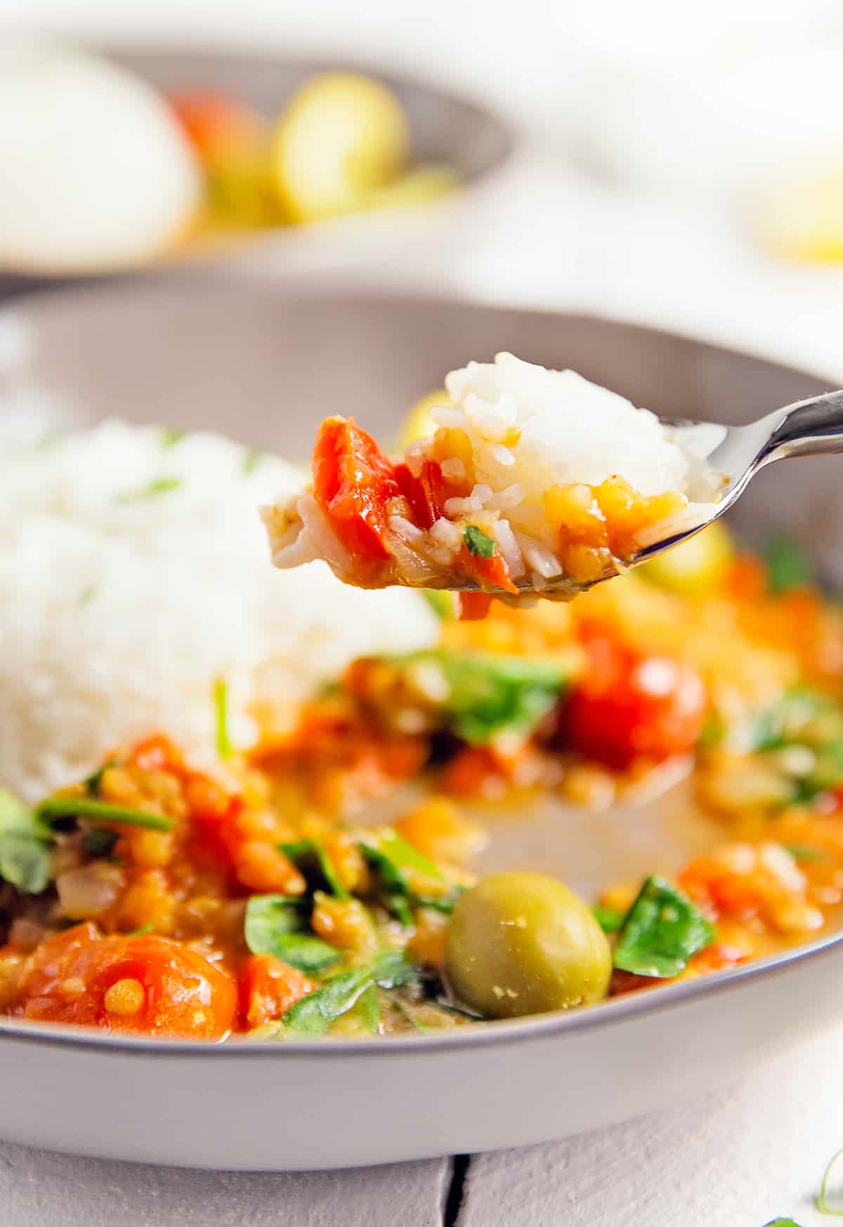 Moroccan Red Lentil Tomato Stew, plant based, vegan, vegetarian, whole food plant based, gluten free, recipe, wfpb, healthy, healthy vegan, oil free, no refined sugar, no oil, refined sugar free, dairy free, dinner party, entertaining, stew