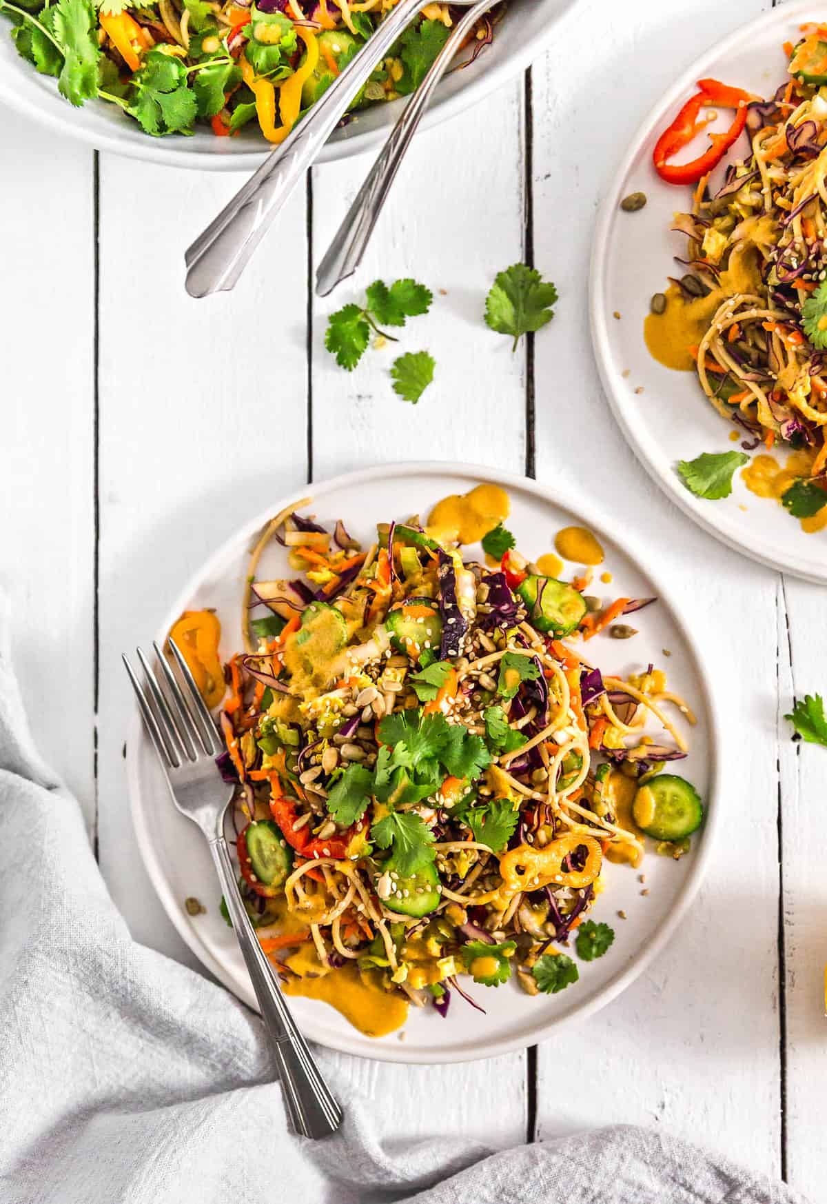 Asian Noodle Salad, noodle salad, plant based, vegan, vegetarian, whole food plant based, gluten free, recipe, wfpb, healthy, healthy vegan, oil free, no refined sugar, no oil, refined sugar free, dairy free, salad, noodles, pasta