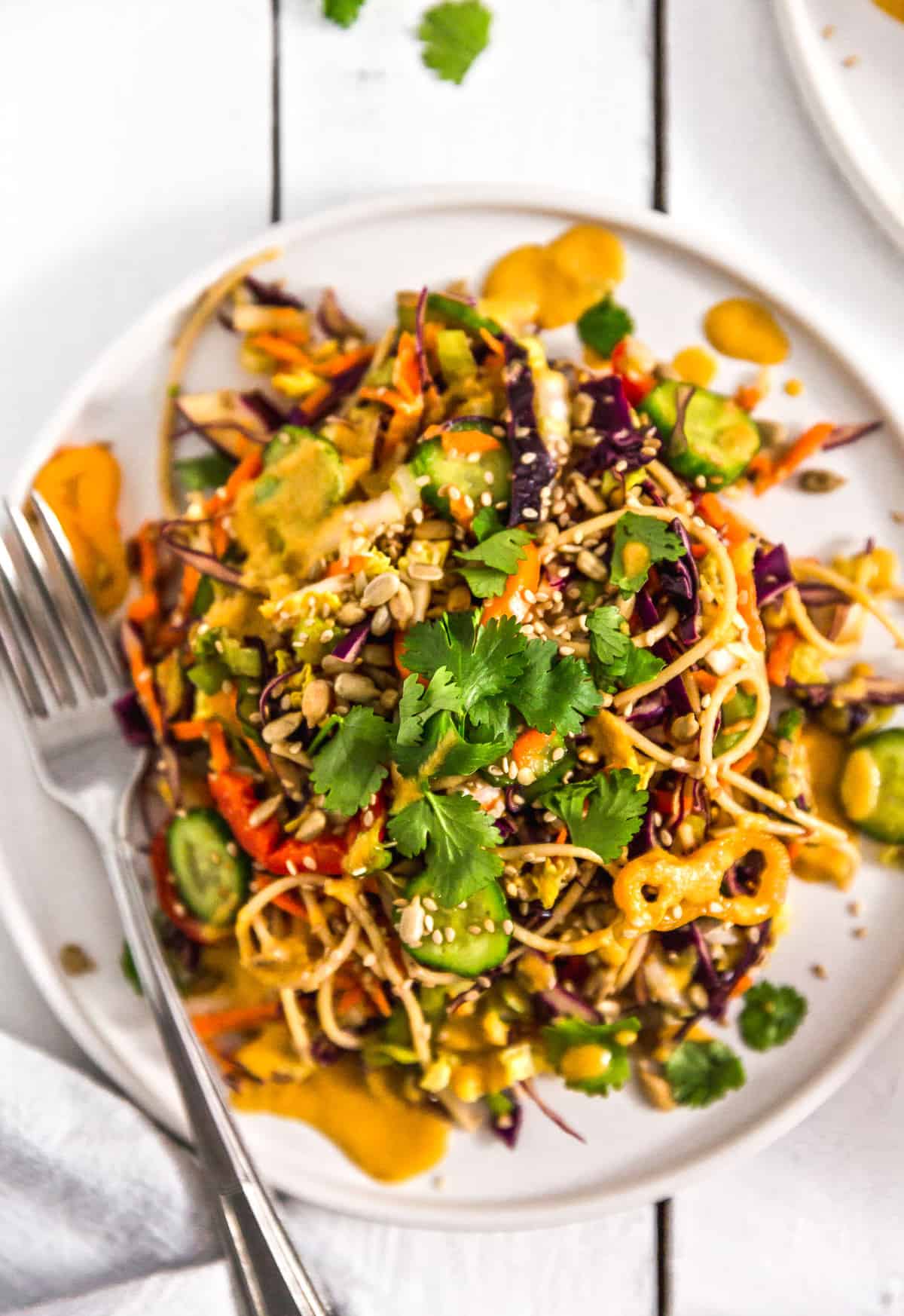 Asian Noodle Salad, noodle salad, plant based, vegan, vegetarian, whole food plant based, gluten free, recipe, wfpb, healthy, healthy vegan, oil free, no refined sugar, no oil, refined sugar free, dairy free, salad, noodles, pasta