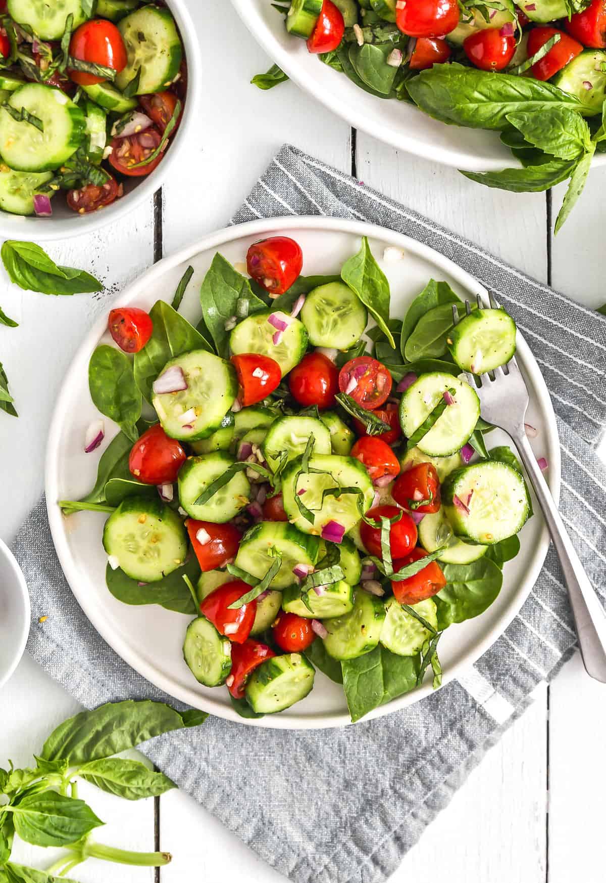 Cucumber Tomato Salad, cucumbers, tomato, salad, plant based, vegan, vegetarian, whole food plant based, gluten free, recipe, wfpb, healthy, healthy vegan, oil free, no refined sugar, no oil, refined sugar free, dairy free, appetizer, starter, snack, dinner, lunch, veggies