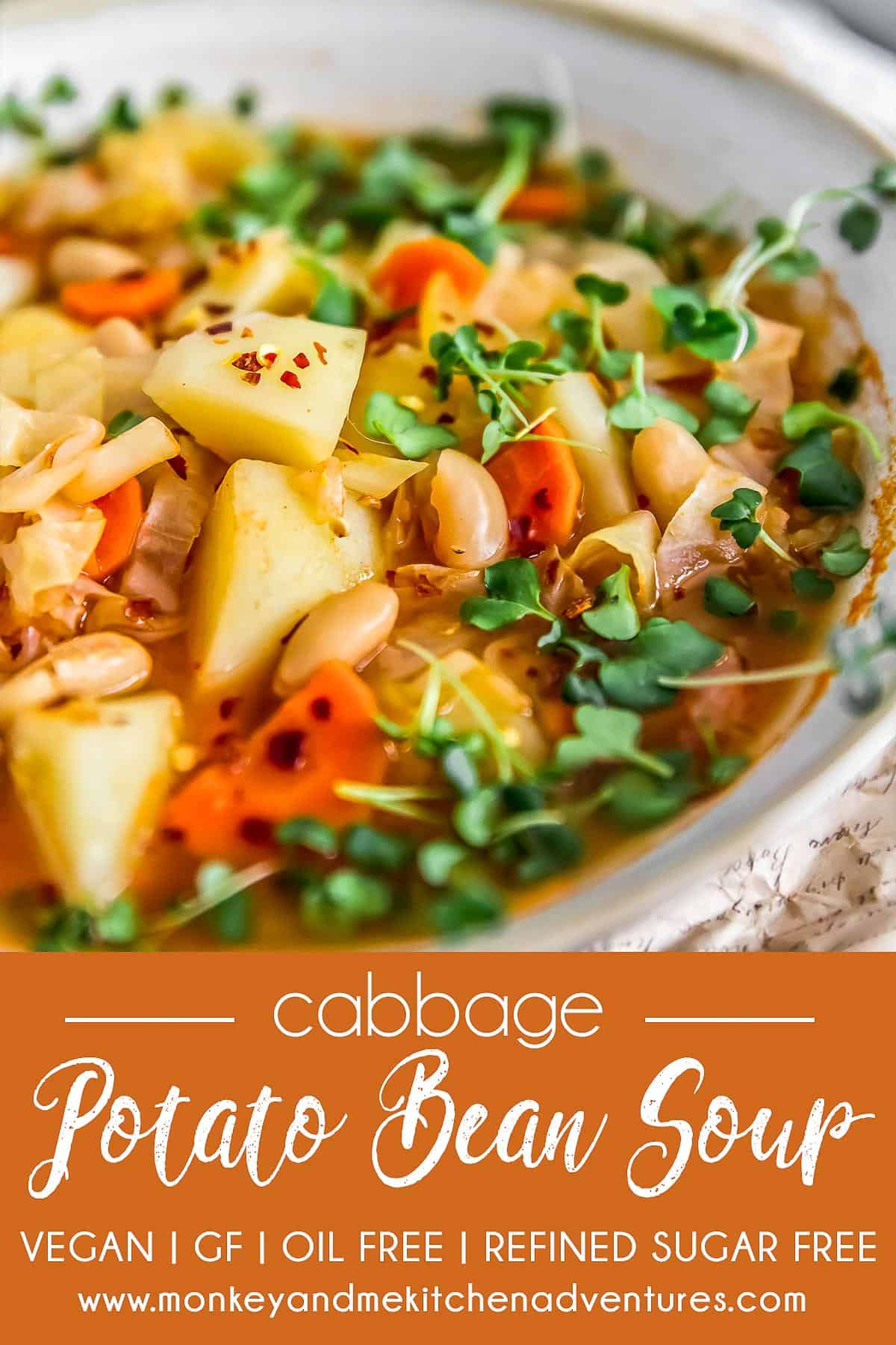 Close up of vegan Cabbage Potato Bean Soup and text describing it.