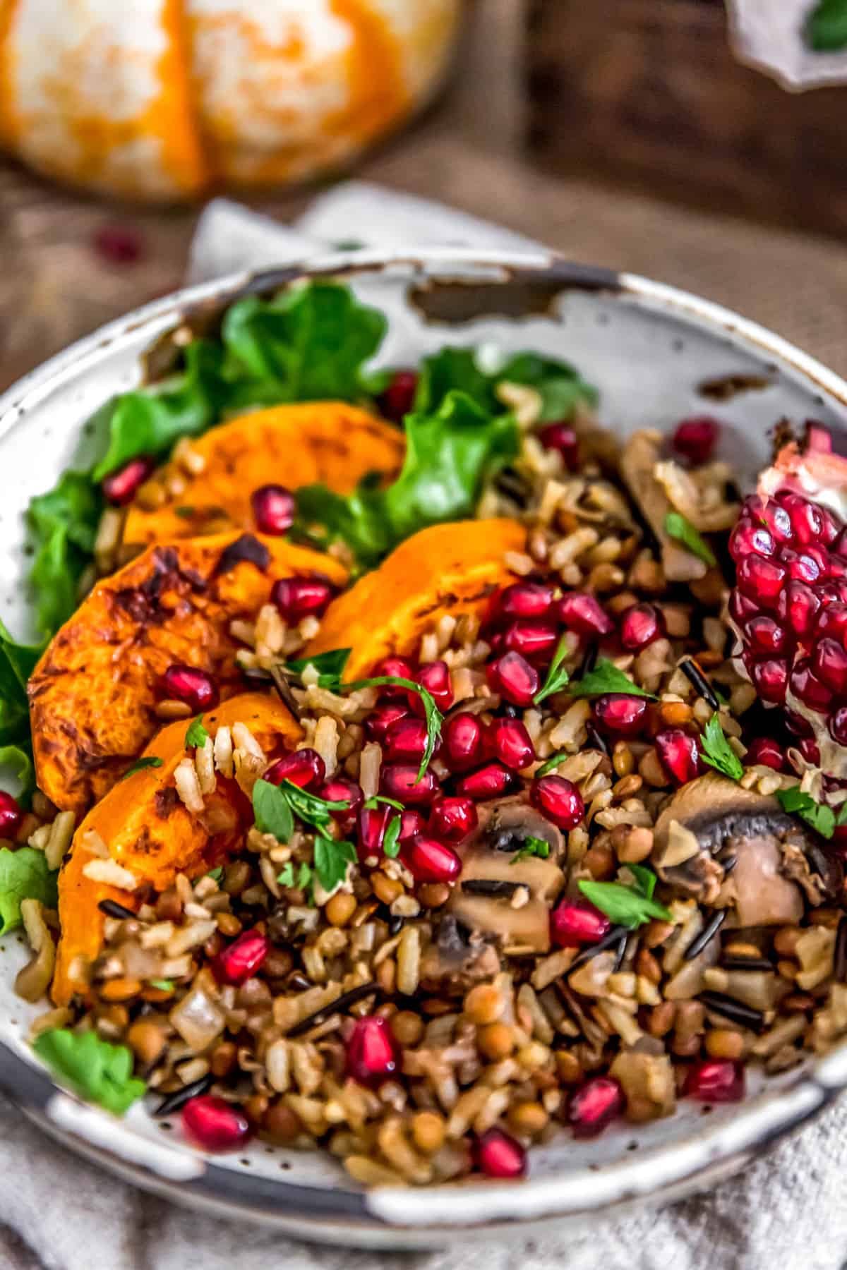 Close up of Lentil Mushroom Wild Rice Pilaf