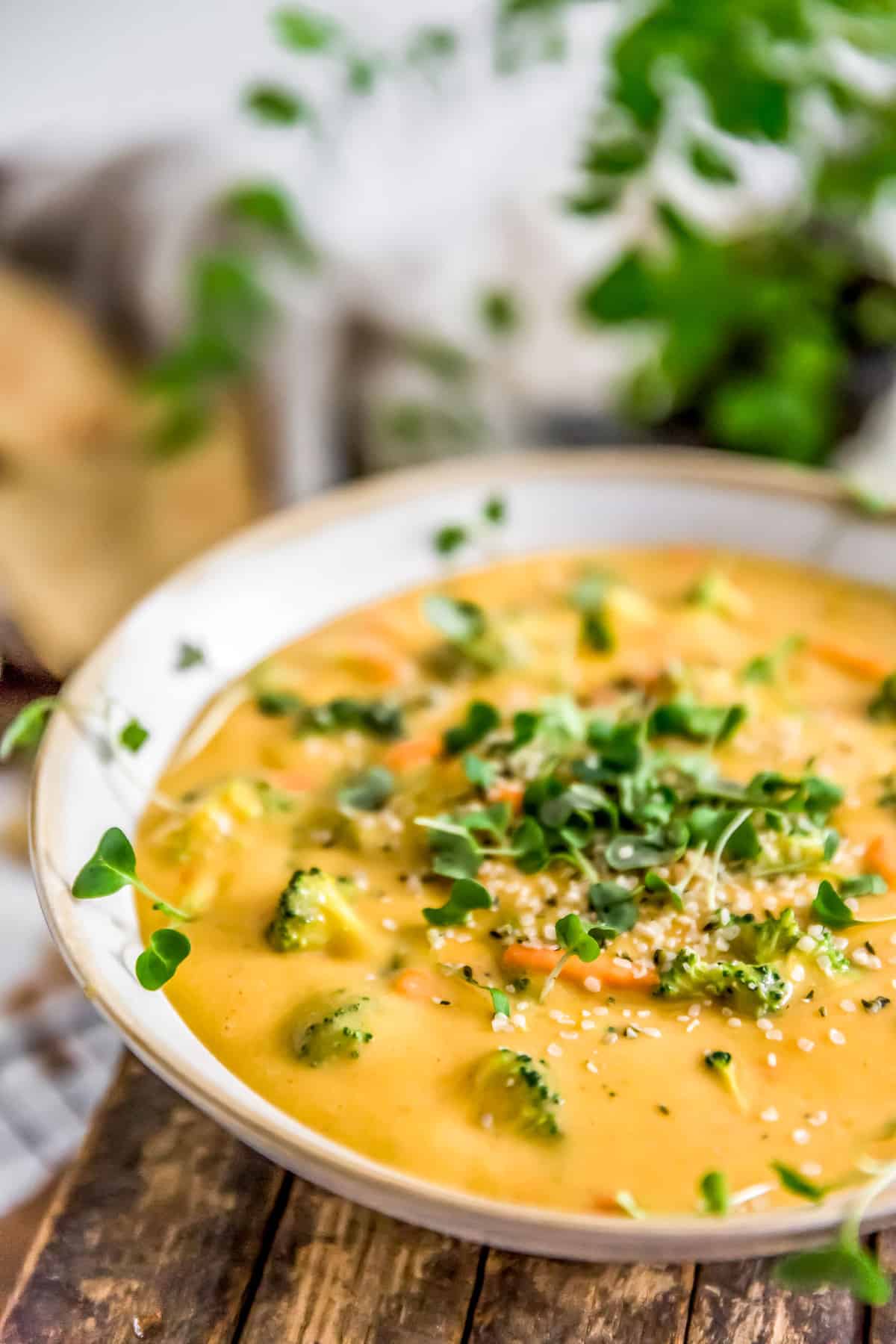 close up of vegan broccoli cheese soup