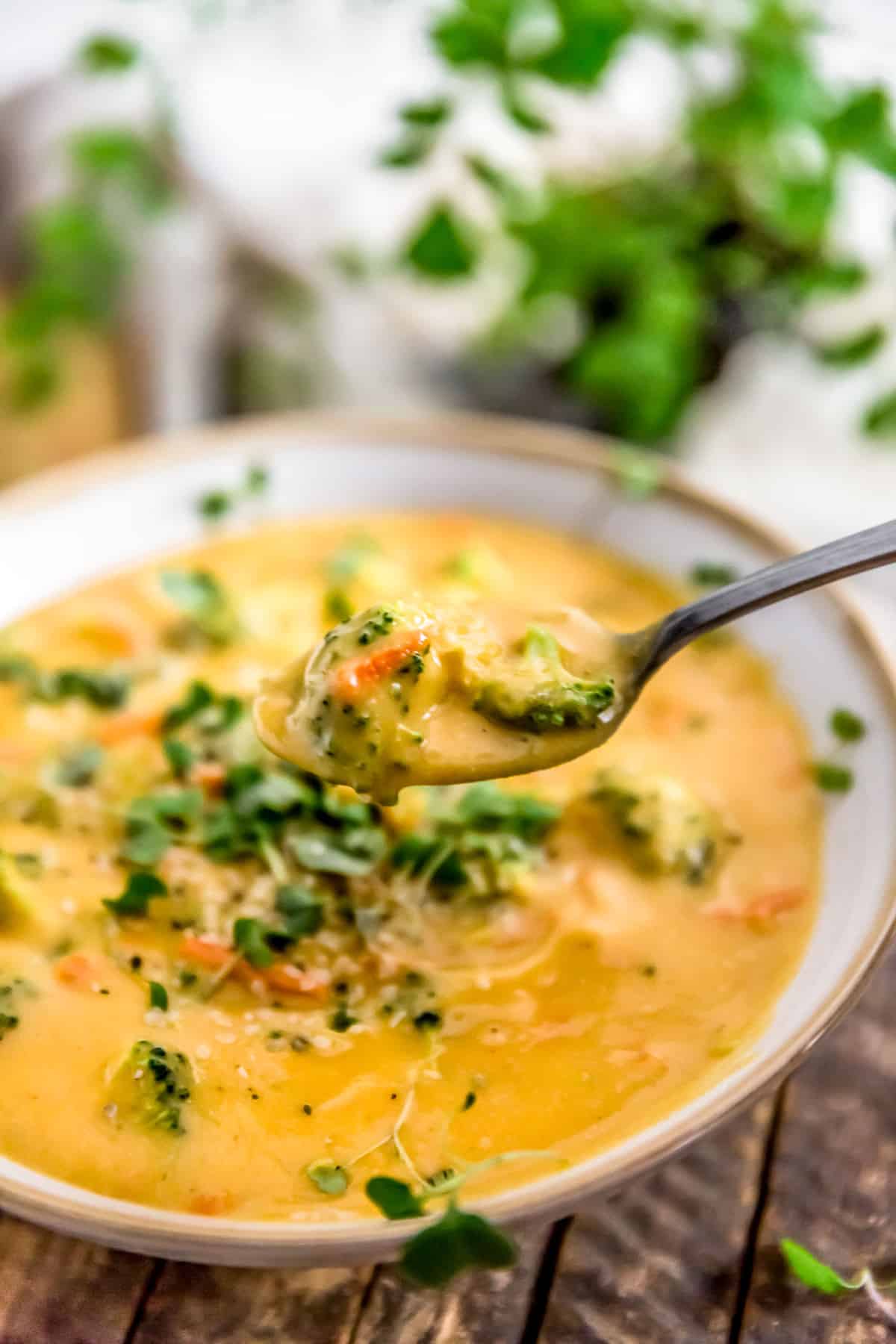 A spoon scooping up some vegan broccoli cheese soup