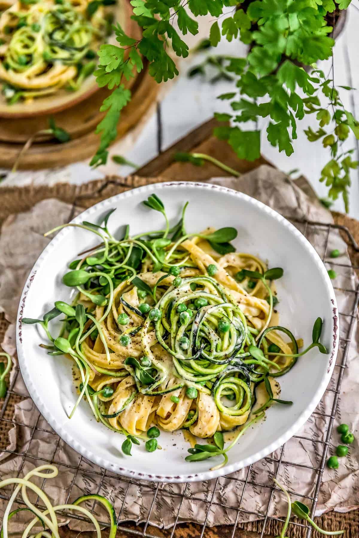 Vegan Cashew Alfredo Sauce Monkey and Me Kitchen Adventures