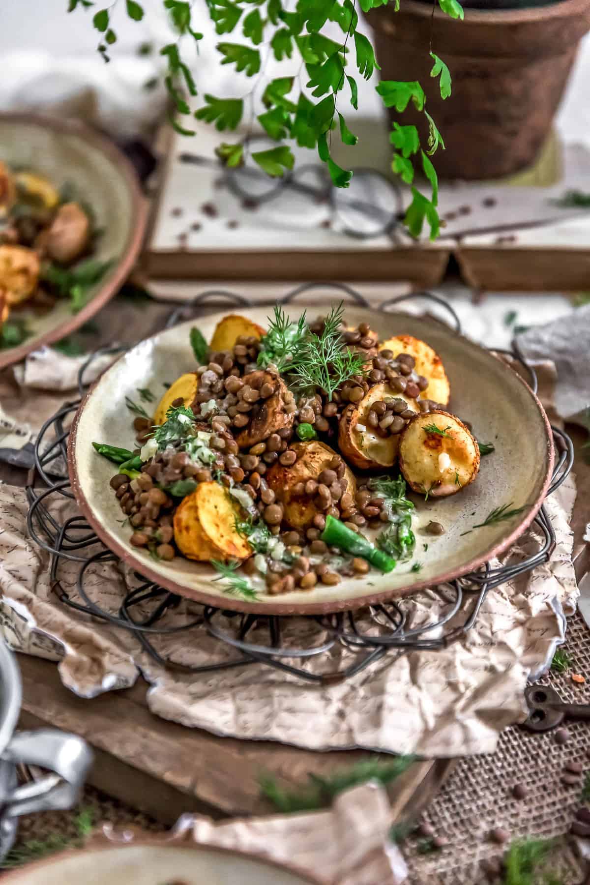 Roasted Potatoes with Seasoned Lentils and Dill Sauce