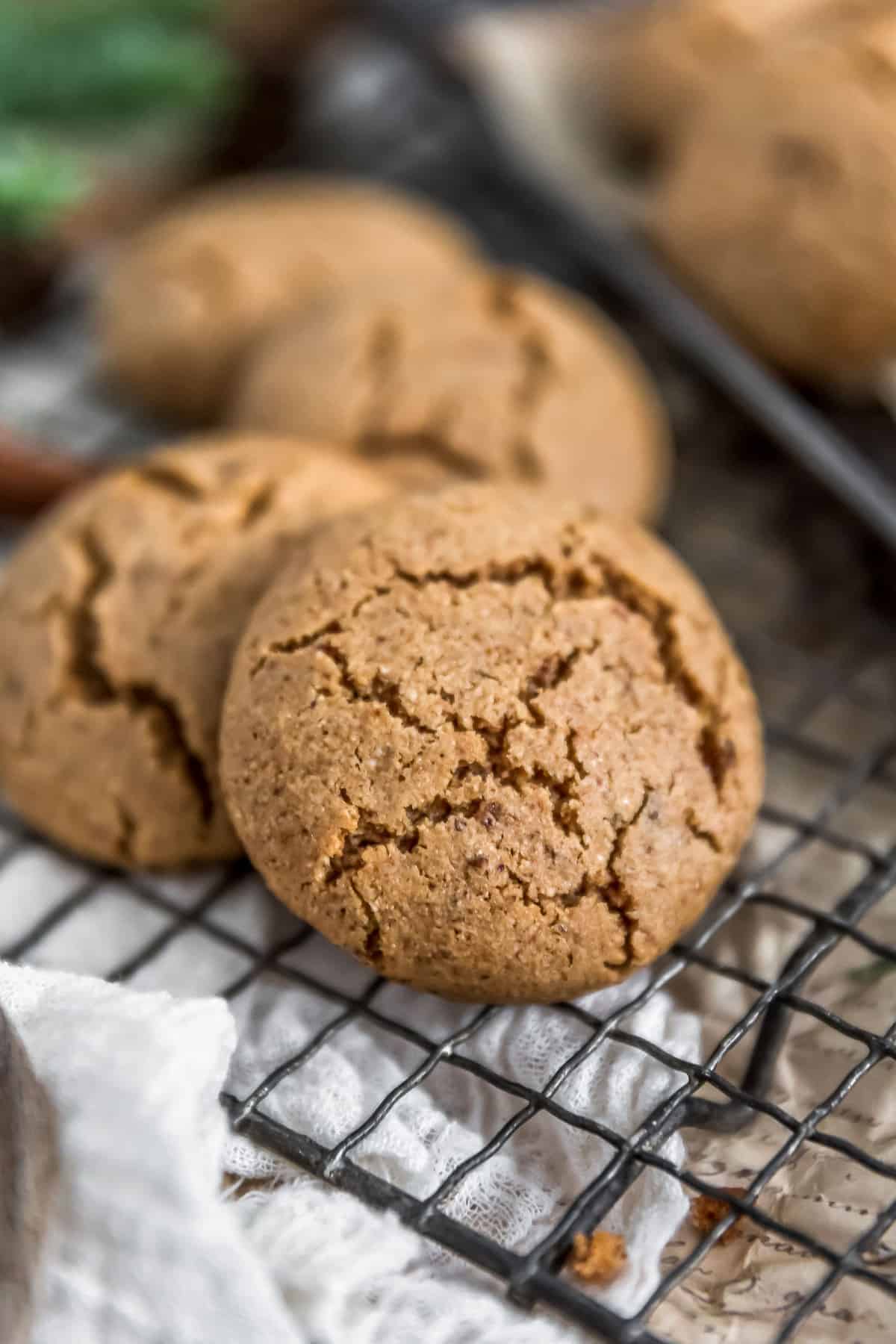 Close up of Healthy Vegan Snickerdoodles