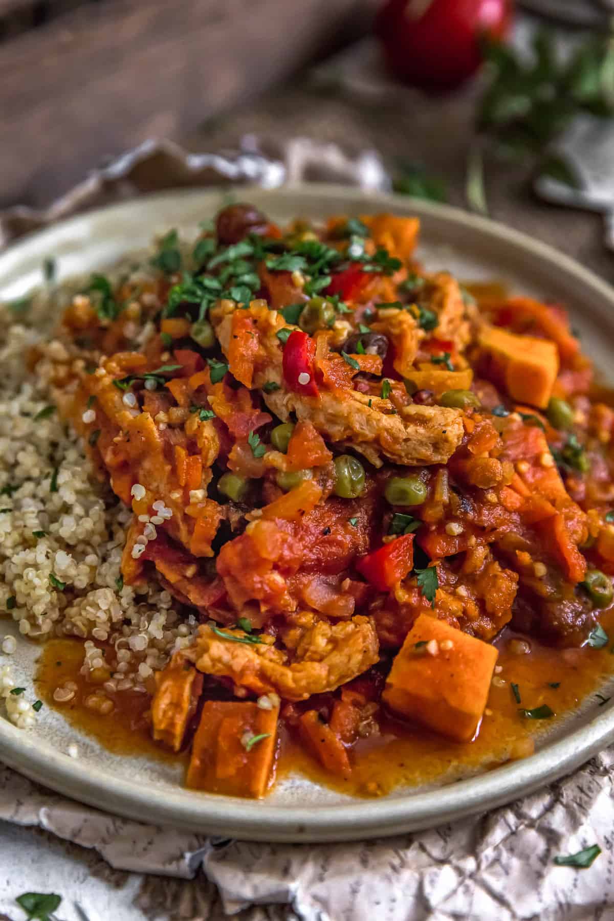 Close up of Moroccan Soy Curl Stew