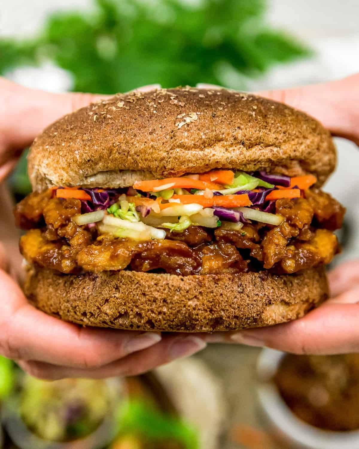 Holding Chinese Five Spice Barbecue Sauce Soy Curl Sandwich