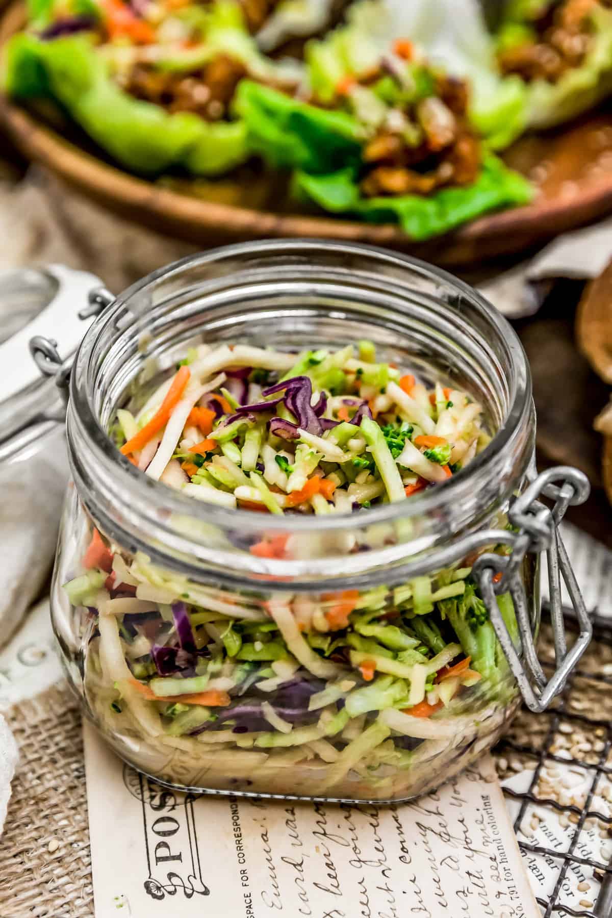 Asian Chicken Cabbage Salad + Bento Box - Opera Singer in the Kitchen