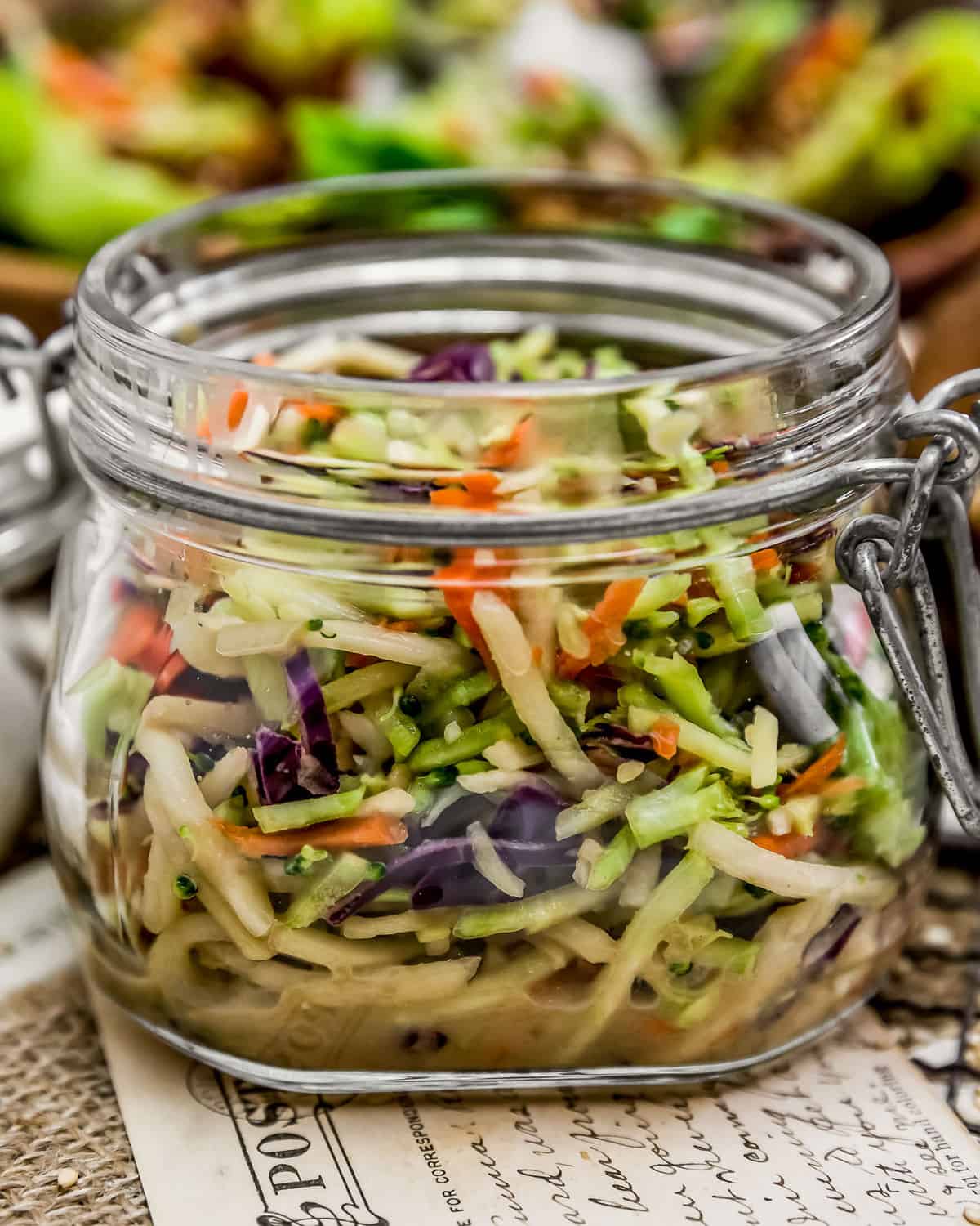 Asian Chicken Cabbage Salad + Bento Box - Opera Singer in the Kitchen