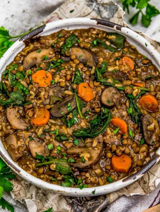 French Lentil Rice Mushroom Stew