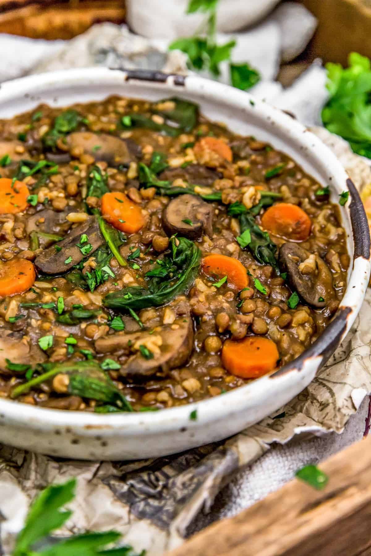 Close up of French Lentil Rice Mushroom Stew