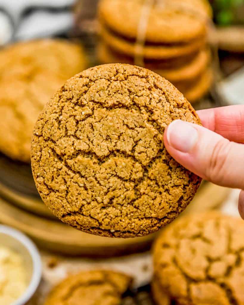Ginger Snap Cookies Monkey and Me Kitchen Adventures
