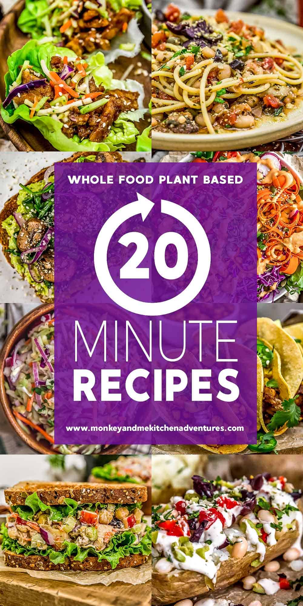 20 Minute Recipes