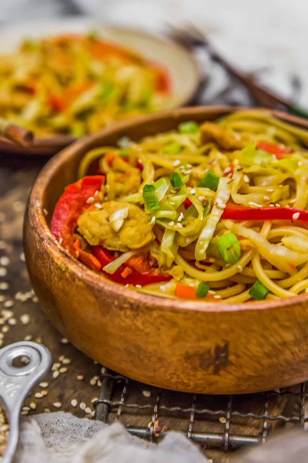 Close up of Vegetable Chow Mein