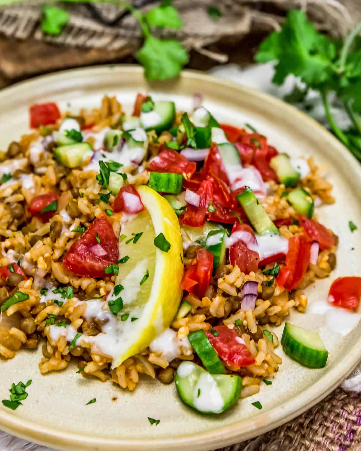 Close up of Middle Eastern Rice and Lentils