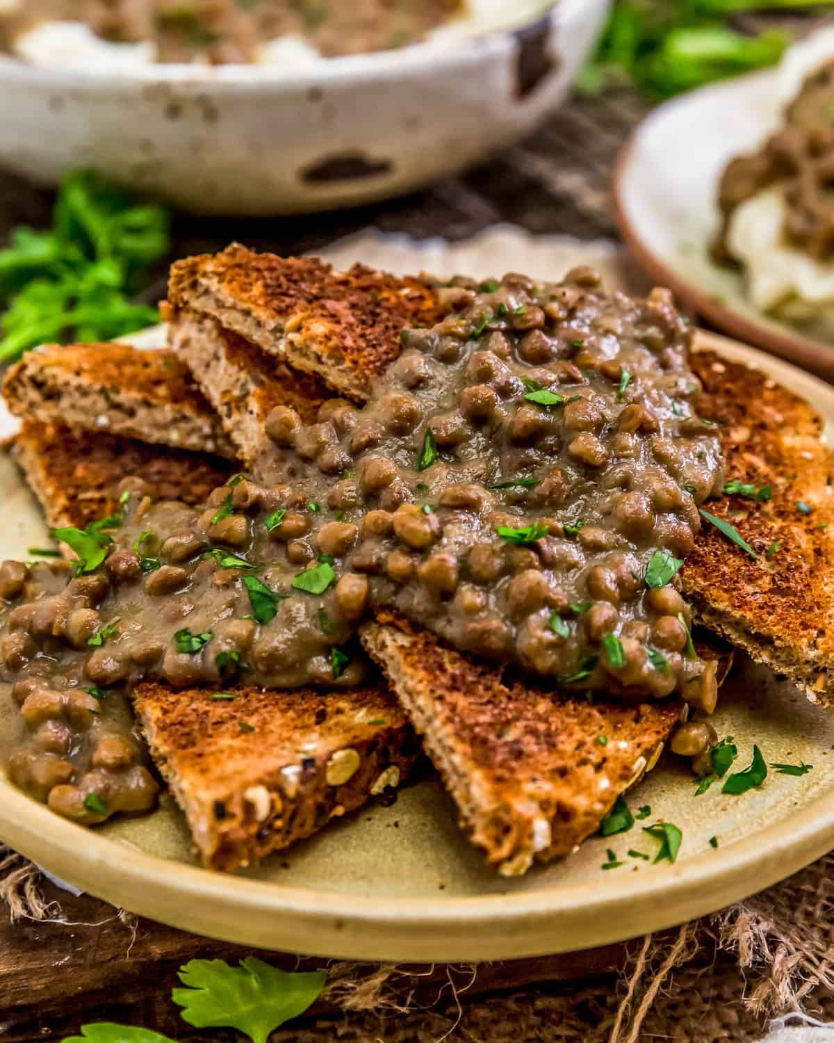 Vegan "Hamburger" Gravy (SOS) over toast