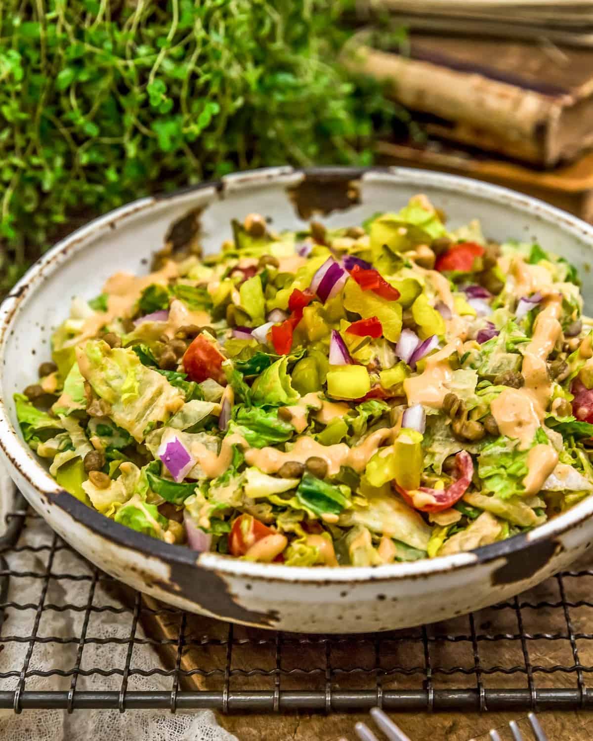 https://monkeyandmekitchenadventures.com/wp-content/uploads/2020/08/Vegan-Big-Mac-Salad_11.jpg