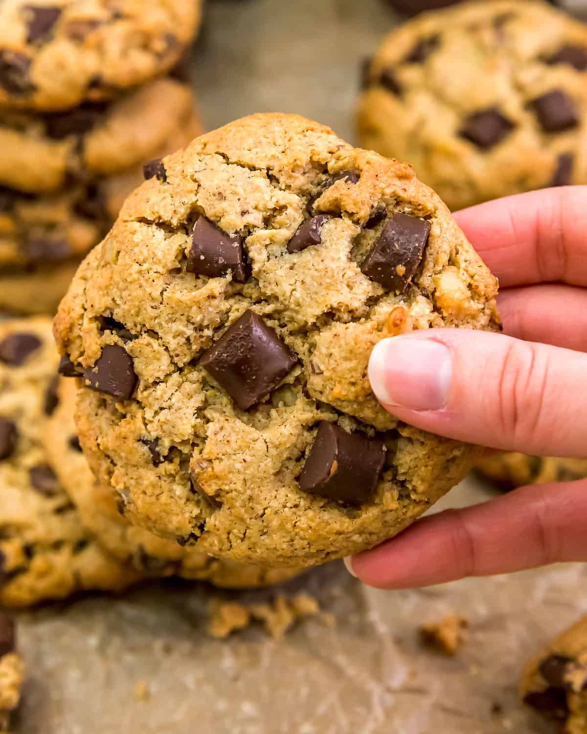 Eating a Vegan Jumbo Chocolate Chip Walnut Cookie