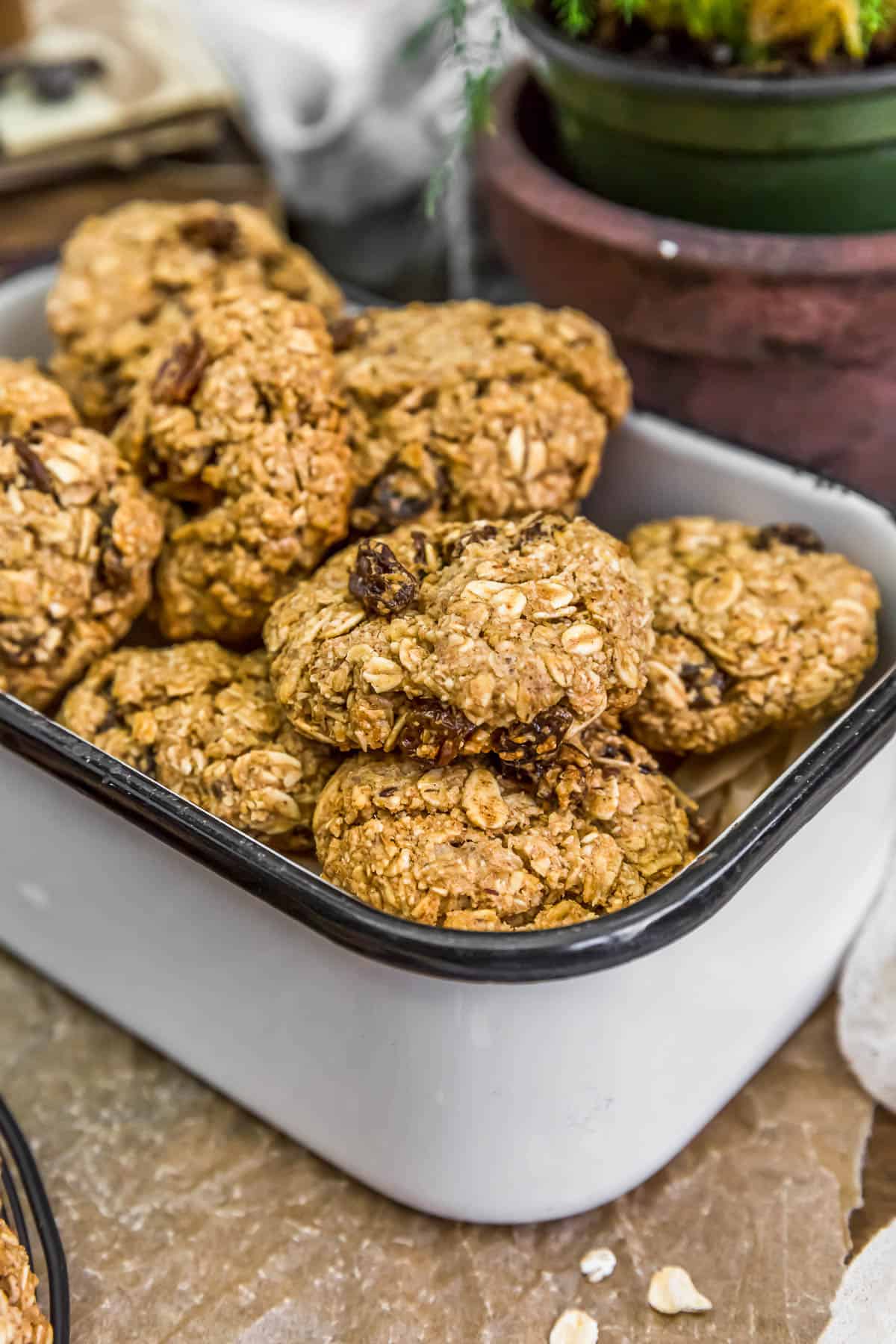 Tin of Vegan Crispy Oatmeal Cookies