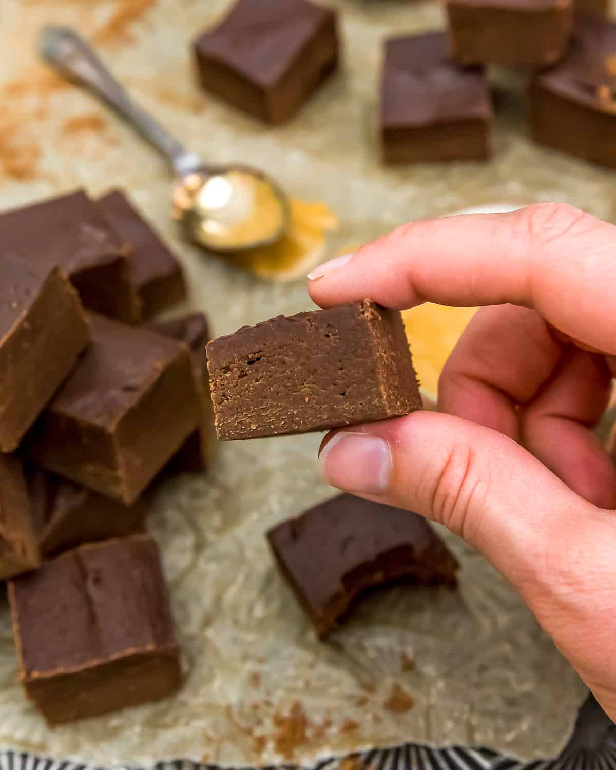 Holding Vegan Chocolate Peanut Butter Fudge