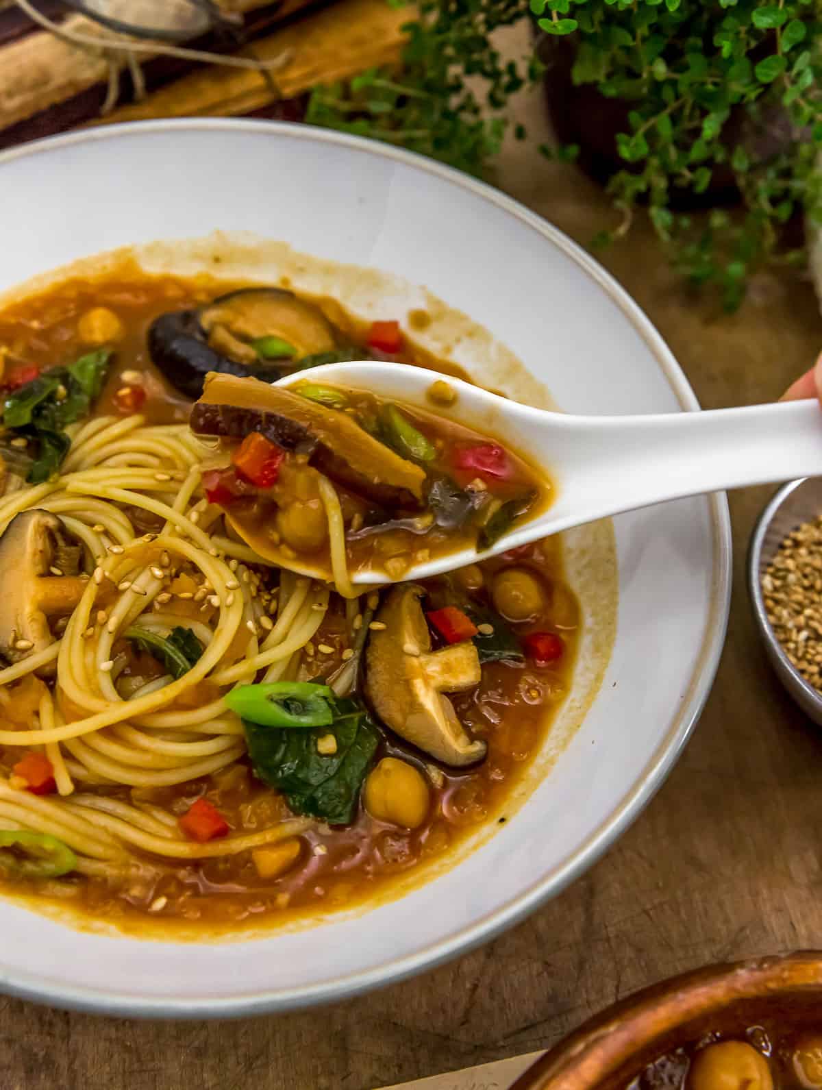 Asian Noodle Soup