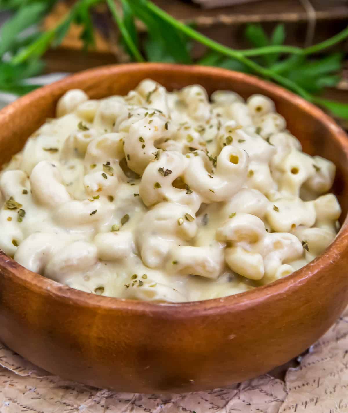 Close up of Vegan Greek Mac and Cheese