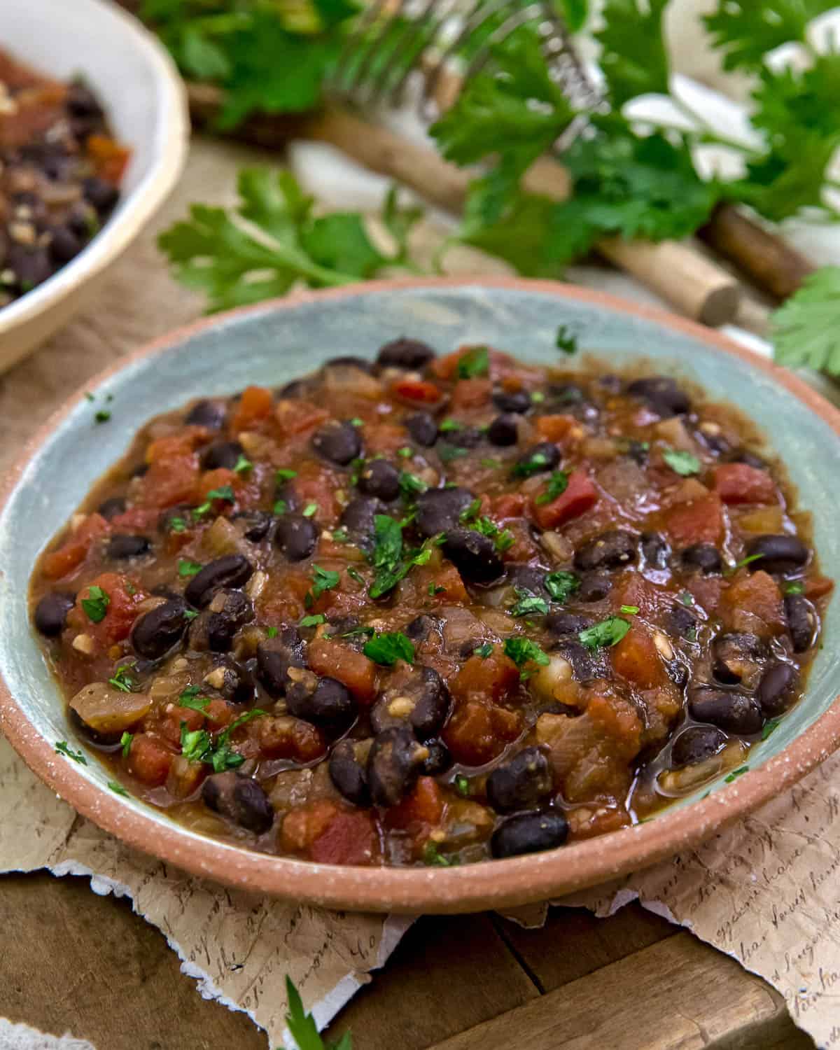 Close up of Budget Friendly Black Bean Chili