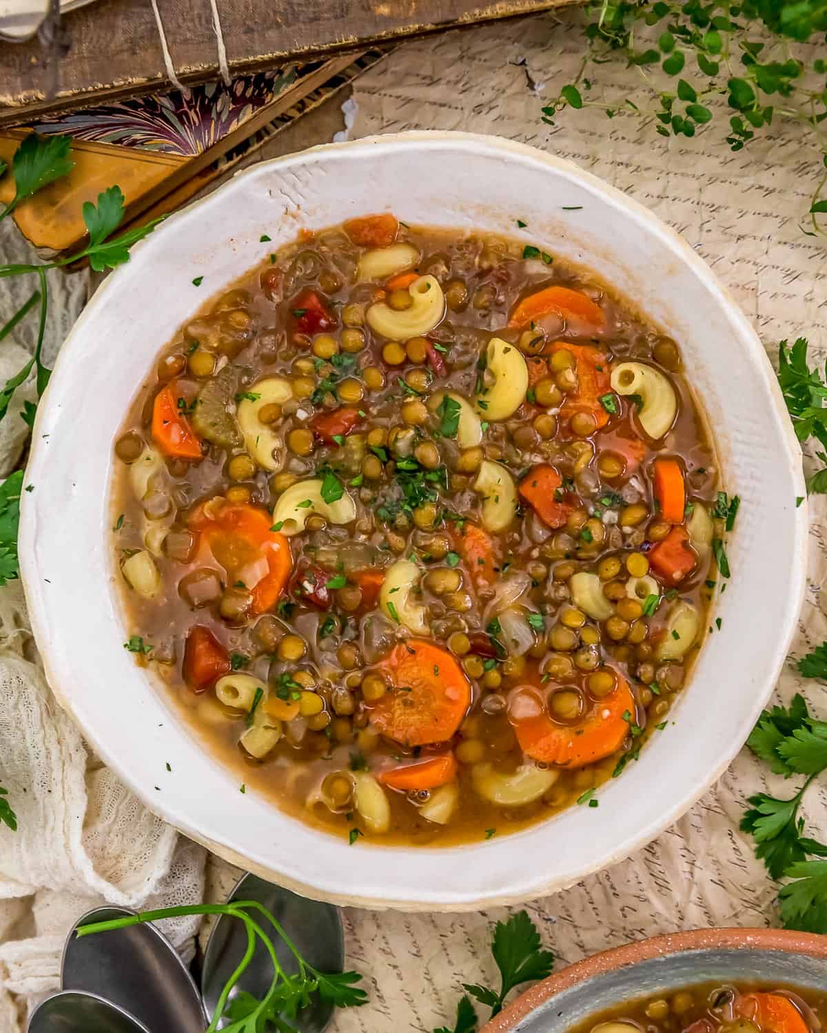 Bowl of Healthy Lentil Macaroni Soup