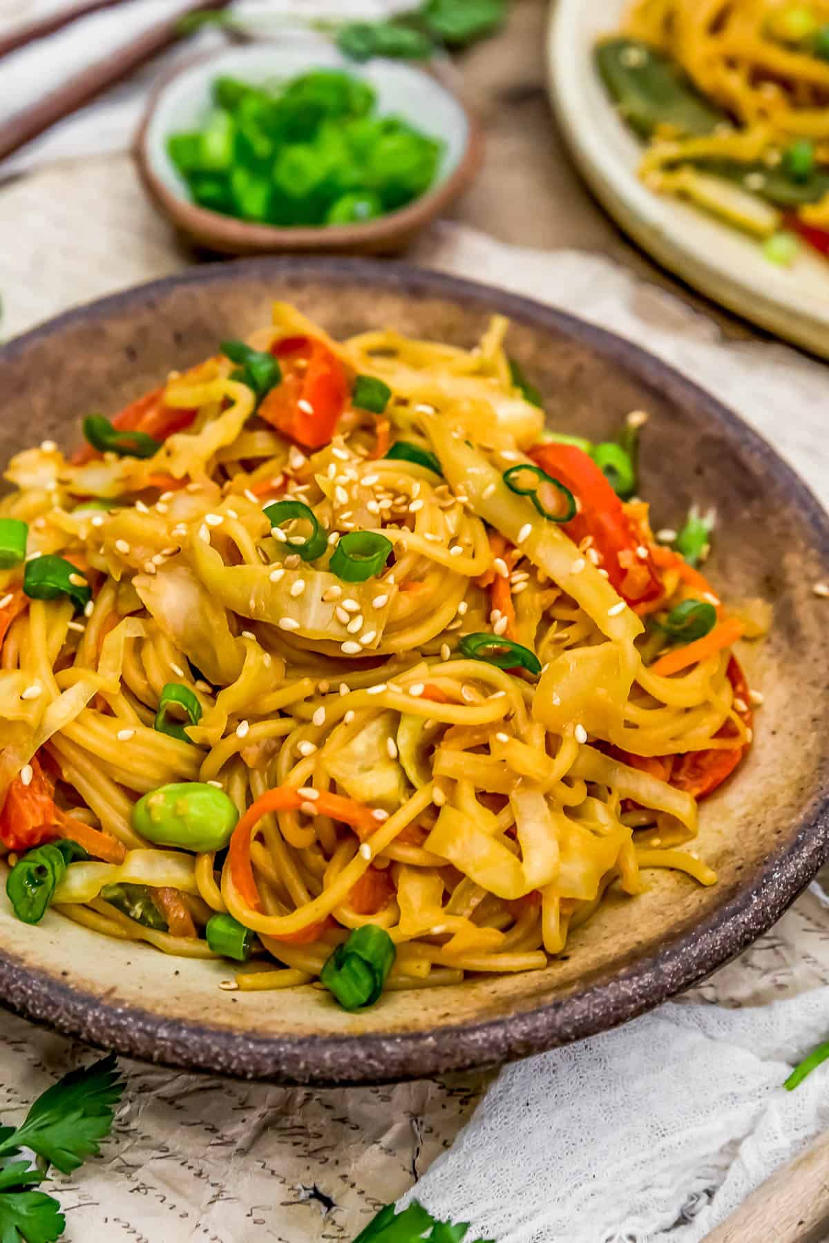 Bowl of Sweet and Sour Cabbage Noodle Stir Fry