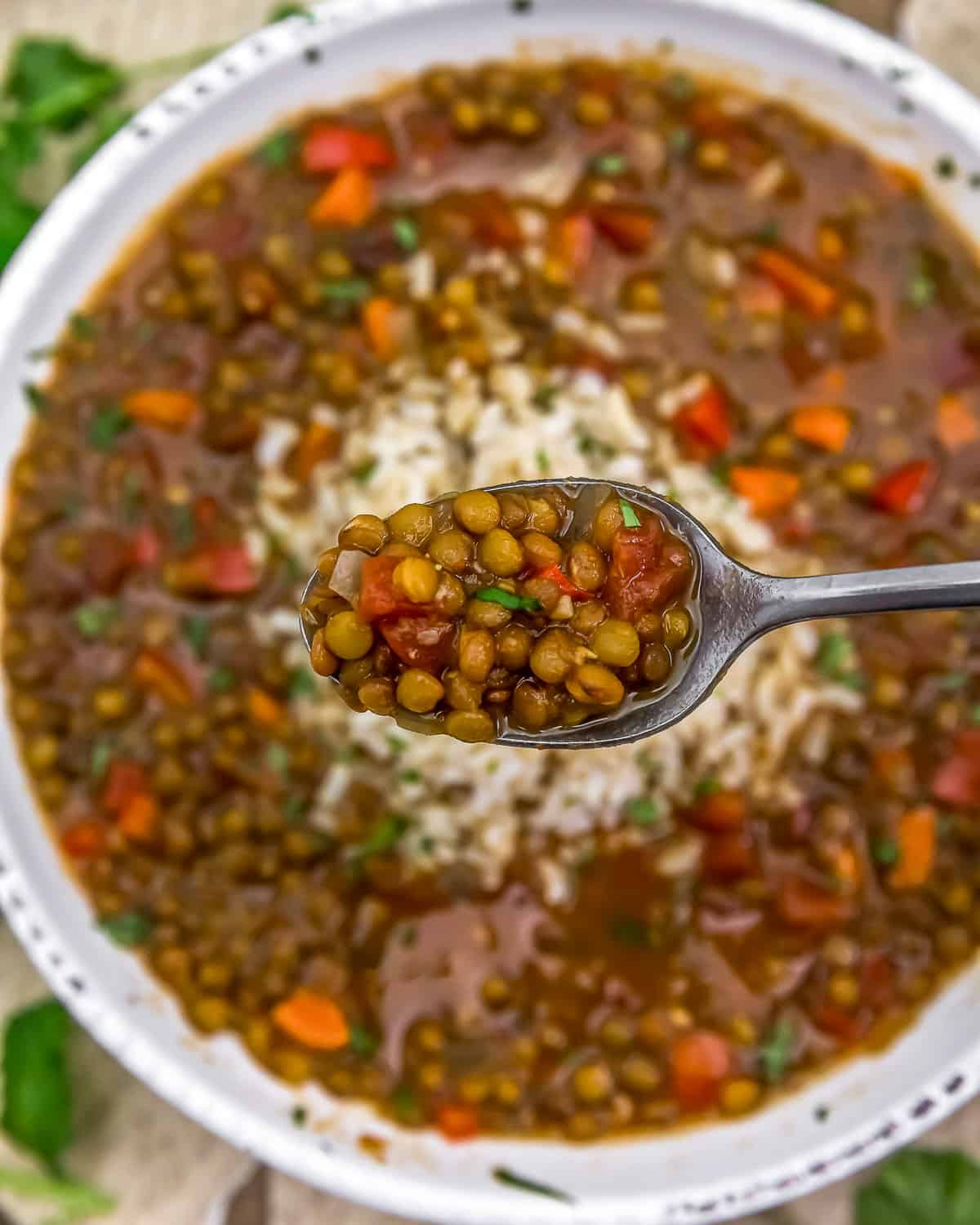 Spoonful of Thai Red Curry Lentil Soup with Rice