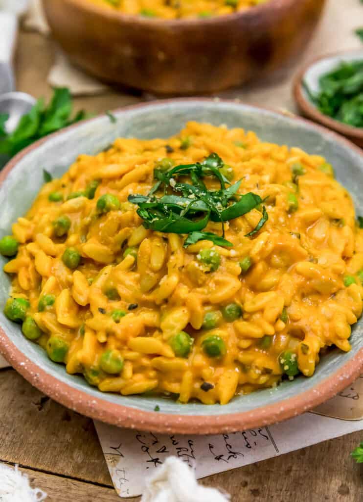 Vegan Creamy Tomato Orzo Monkey and Me Kitchen Adventures