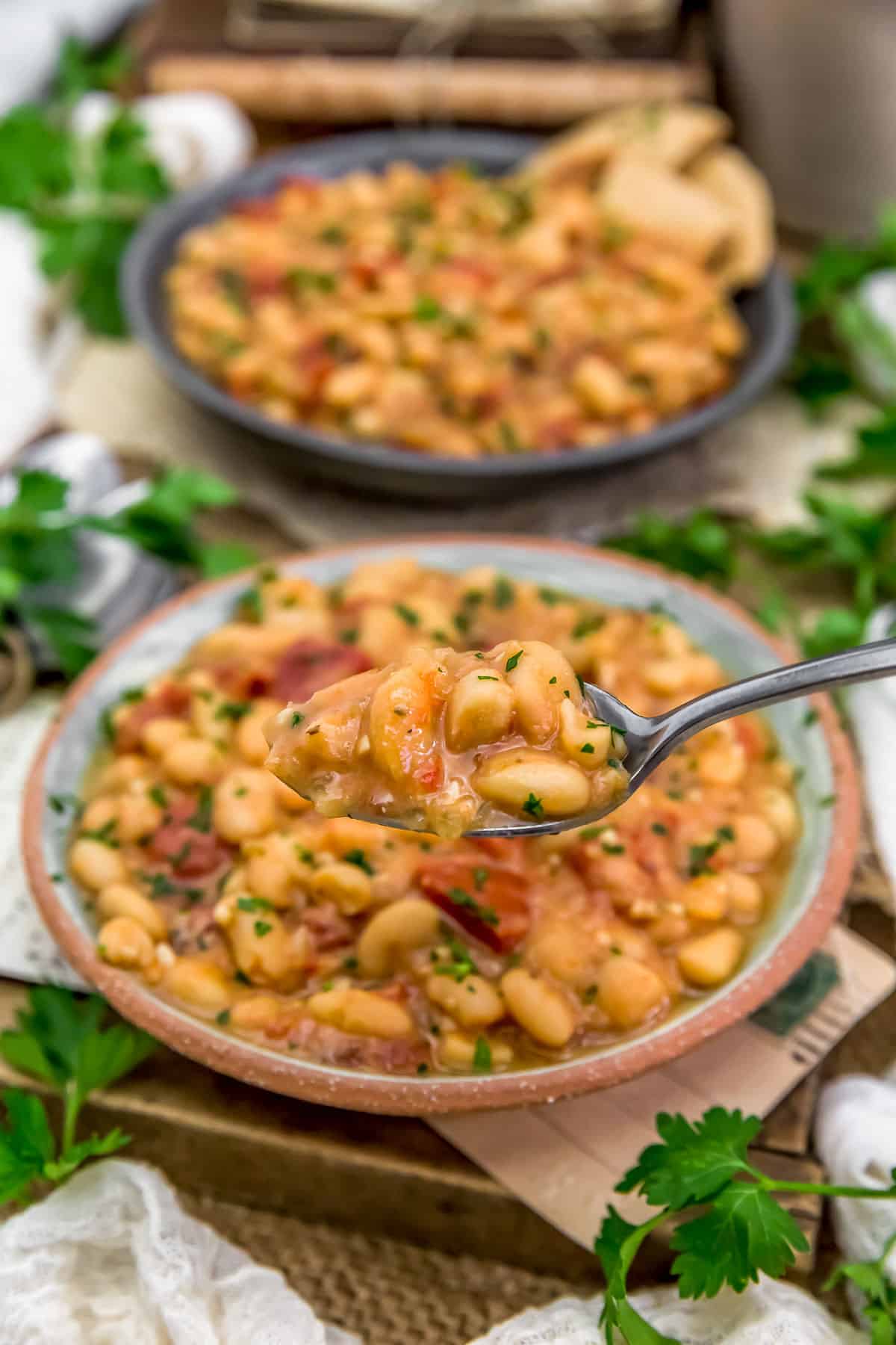 Spoonful of Easy Greek Brothy Beans