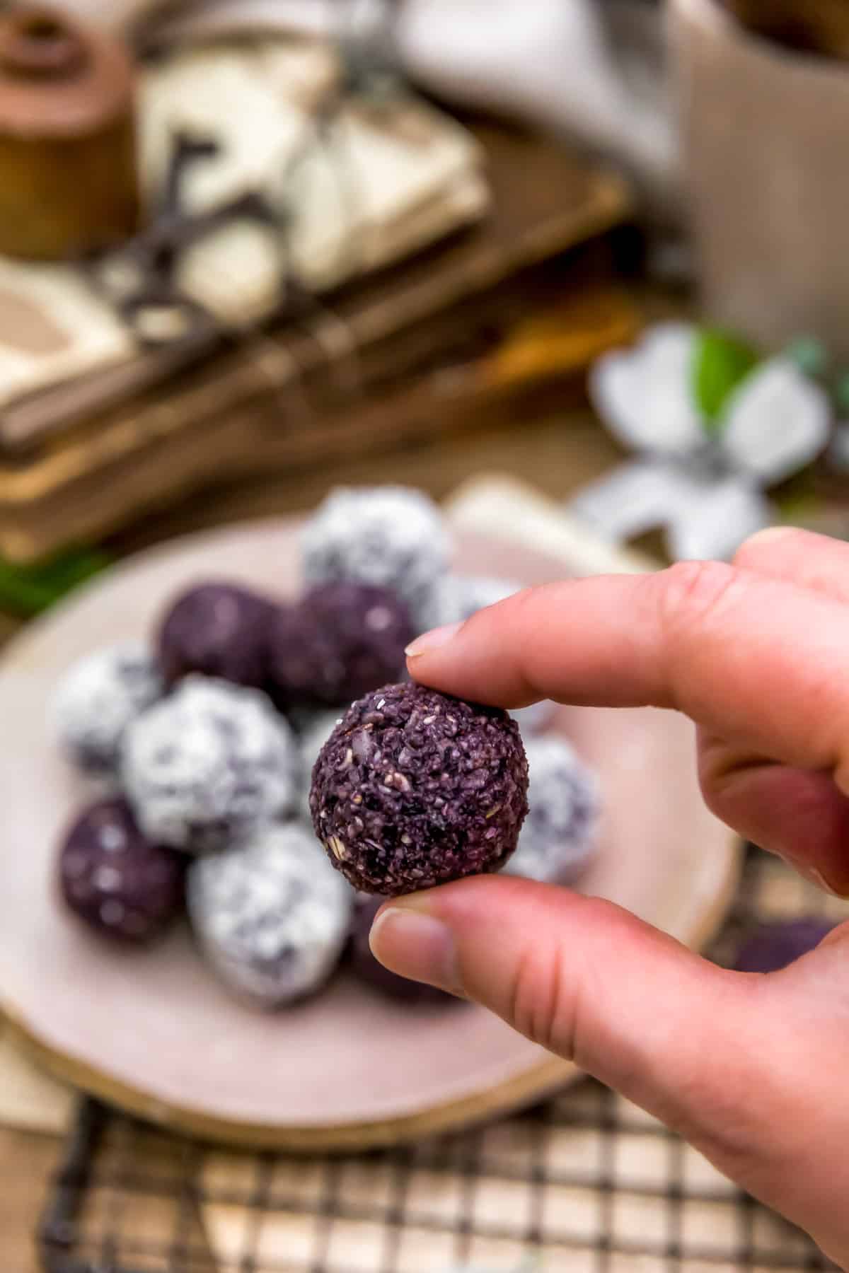 Holding a No Bake Blueberry Bliss Ball