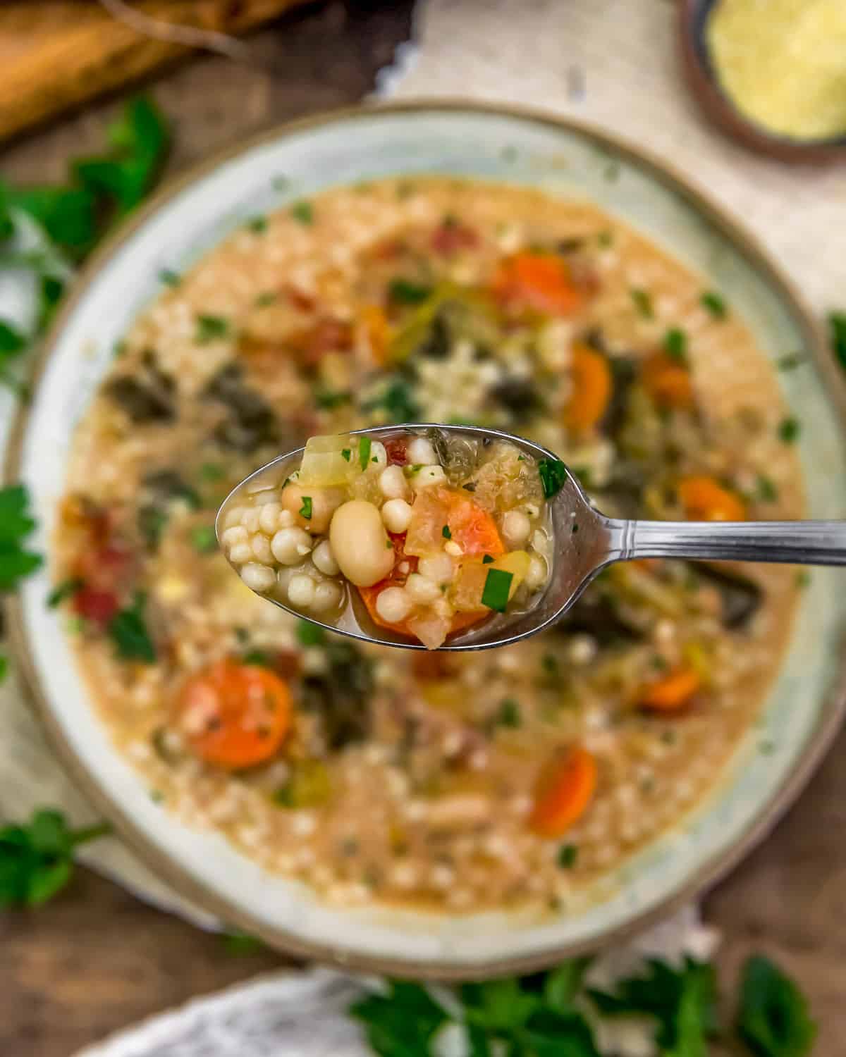 Spoonful of Italian Endive Bean Soup