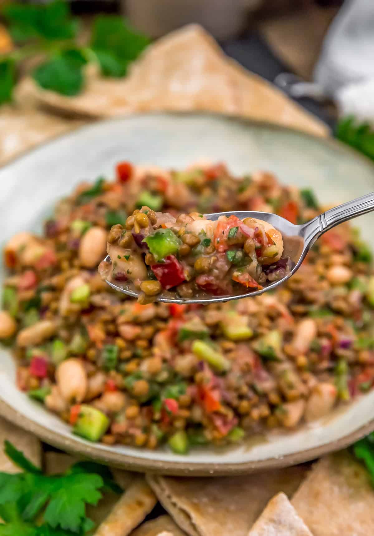 Spoonful of Middle Eastern Lentil Bean Salad