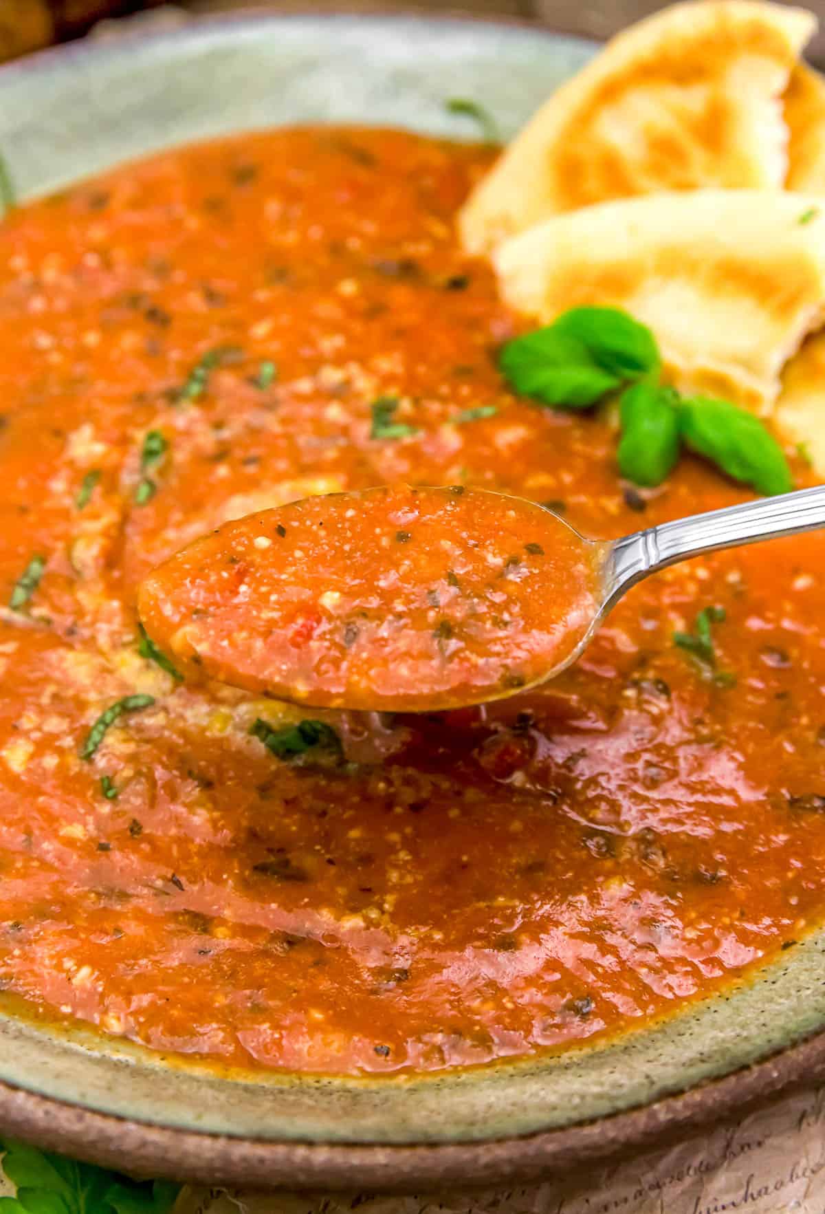 Spoonful of Easy Vegan Tuscan Tomato and Bread Soup