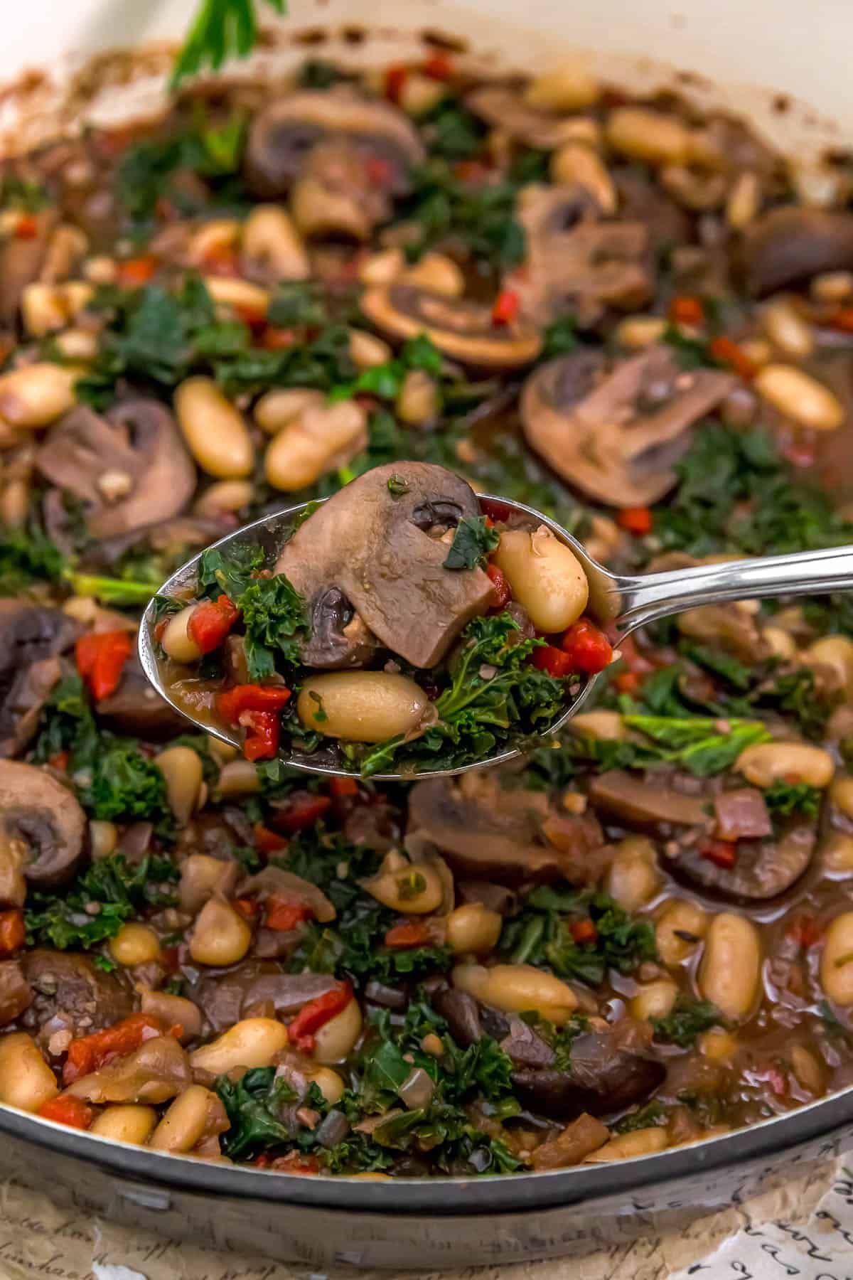 Spoonful of Mushrooms Beans and Kale in Red Wine Sauce