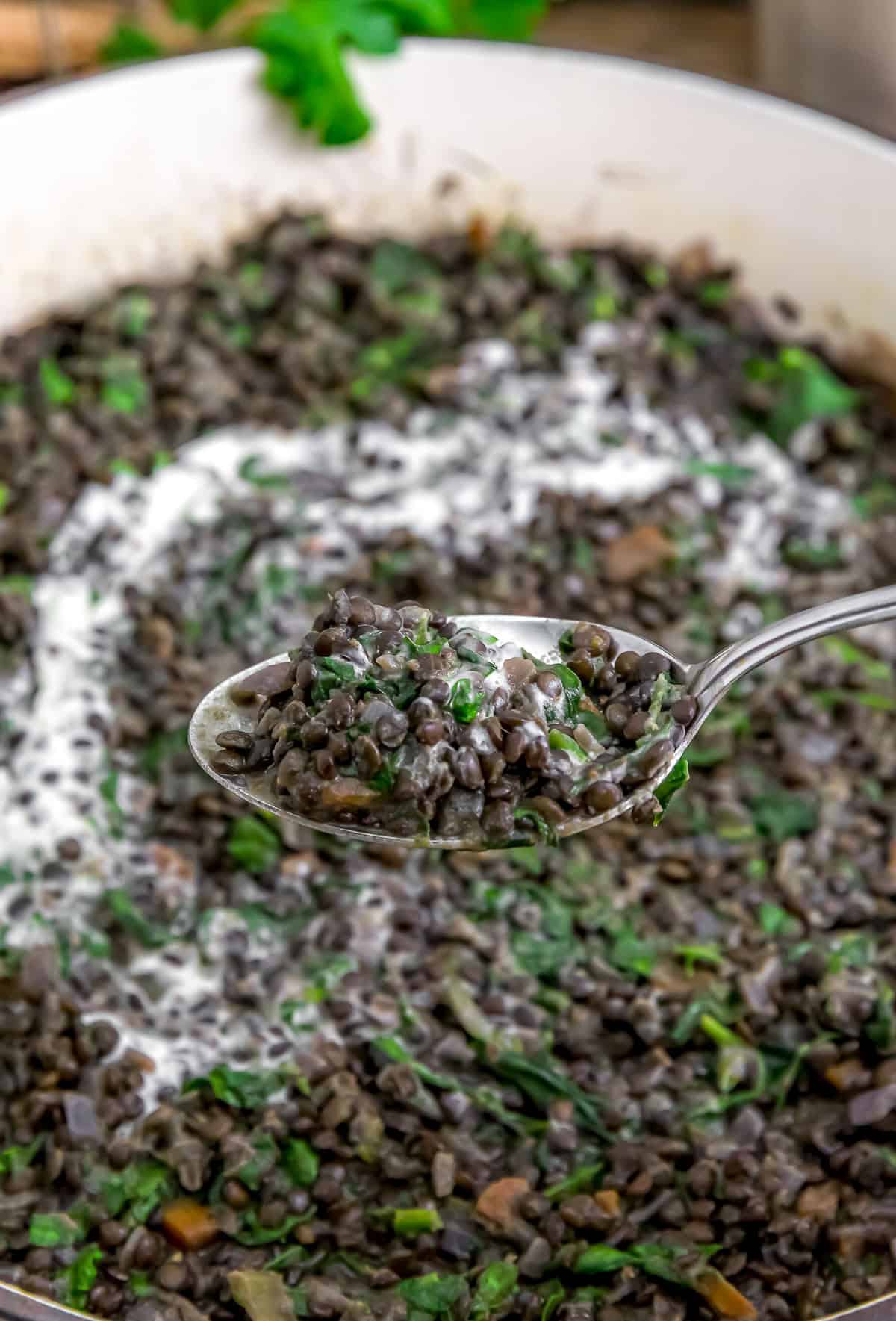 Spoonful of Vegan Lentilles du Puy with Spinach and Crème Fraiche