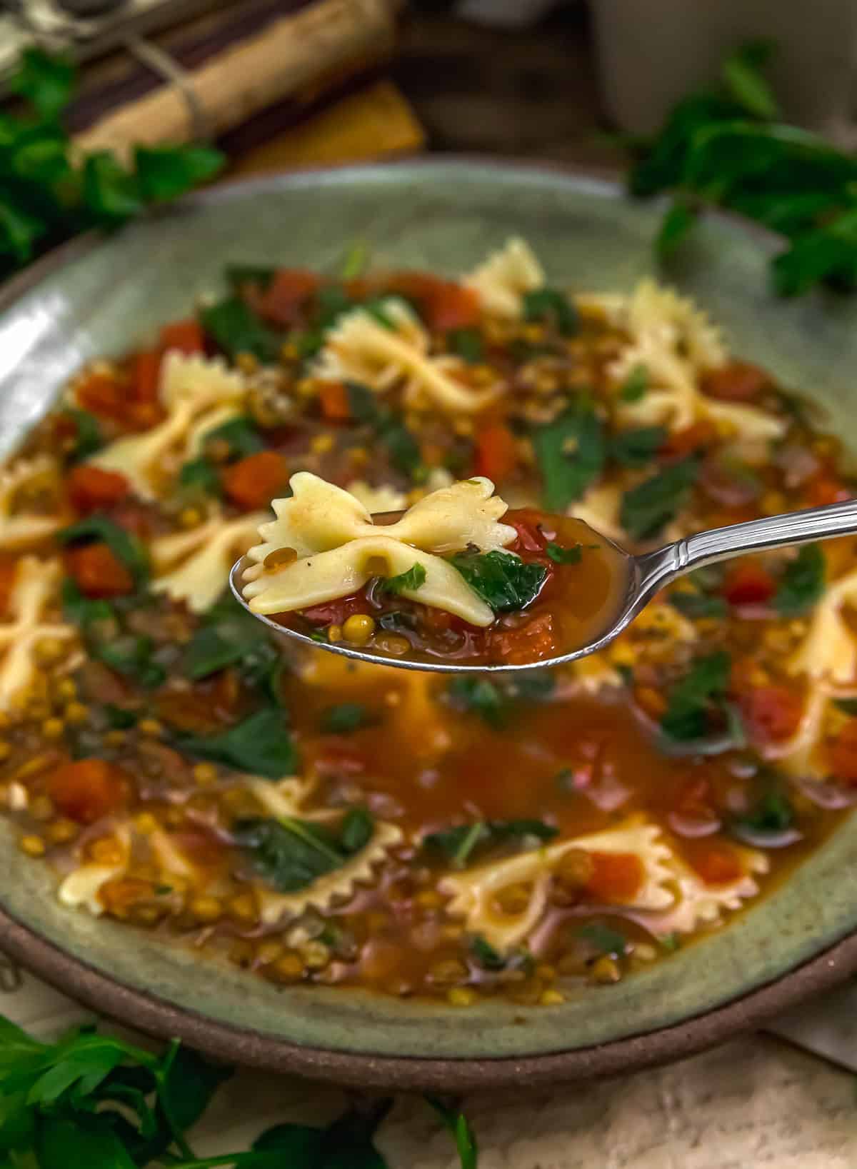 Spoonful of Easy Italian Lentil Kale Pasta Soup