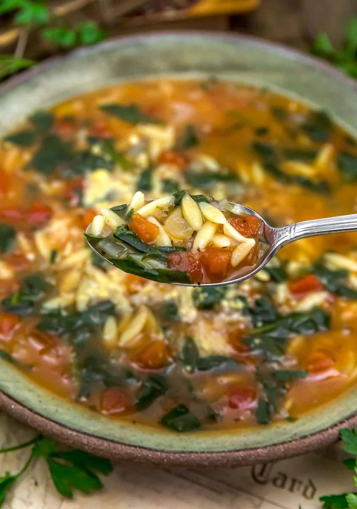 Spoonful of Easy Italian Spinach Orzo Soup