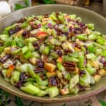 Close up of Harvest Celery Apple Salad