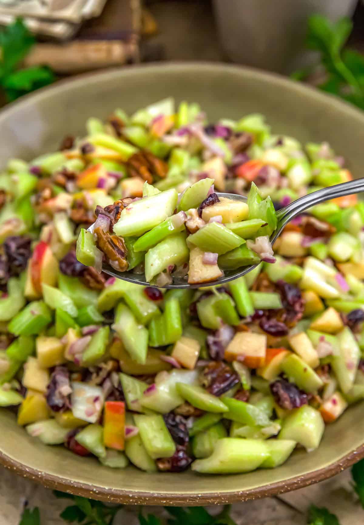 Spoonful of Harvest Celery Apple Salad