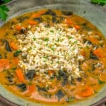 Close up of Vegan Smoky Tomato Spinach Soup with Rice