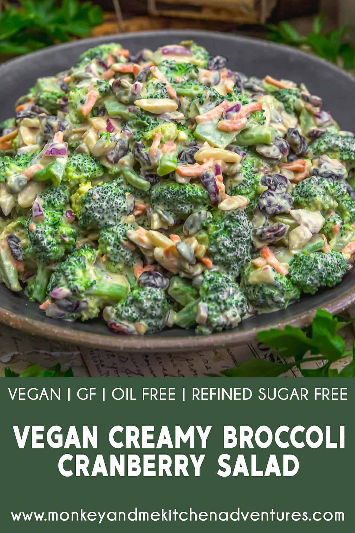 Vegan Creamy Broccoli Cranberry Salad with text description