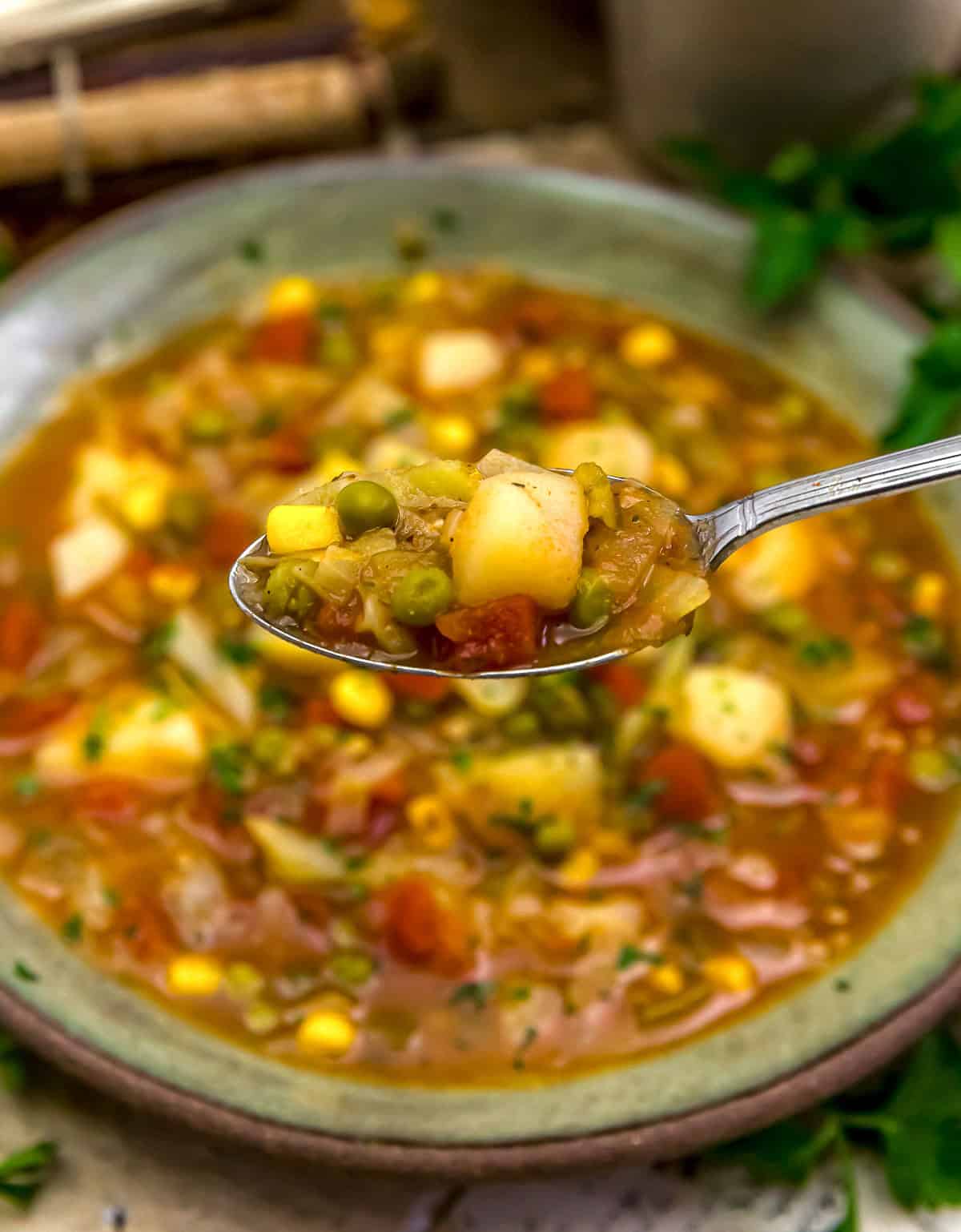 Spoonful of Low-Fat Spicy Creole Veggie Soup